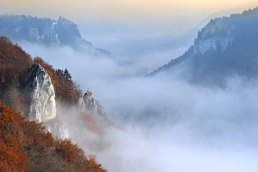 Foggy mood in the upper Danube valley, Swabian Alb, Baden-Wuerttemberg, Germany