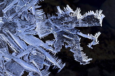 Ice crystals, Schwaebische Alp, Baden-Wuerttemberg, Germany, Europe