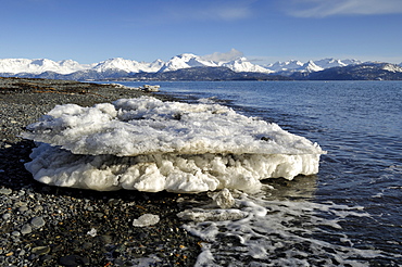 Ice floe on the shore of Kachemak Bay, Kenai Peninsula, Alaska, USA