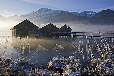 Boathouses, frost-covered reeds on the shore of the Kochelsee (Lake Kochel) enshrouded in mist, Bavarian pre-Alps, Upper Bavaria, Bavaria, Germany, Europe