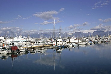 The small boat harbour at the Homer Spit Kenai peninsula Homer Alaska USA