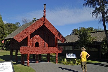 Carvings made by Maori in Whakarewarewa in Rotorua New Zealand