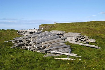 Driftwood at the farm Nupskatla on the Melrakkasletta peninsula Iceland