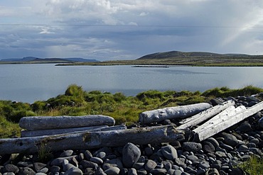 Driftwood at the farm Nupskatla on the Melrakkasletta peninsula Iceland