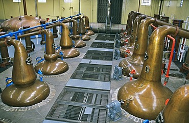 Distilling flasks at Glenfiddich Destillery Dufftown Scotland