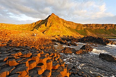 Sunset at the basalt columns of the GiantÂ¥s Causeway, Londonderry, North Ireland