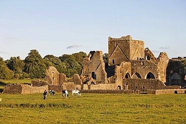 Hore Abbey, Cashel, Tipperary, Ireland