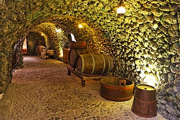 Wine museum and vinery Koutsouyanopoulos, Santorini, Greece