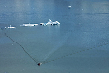 Floating ice and tour boat, Lago Grey, Torres del Paine National Park, Patagonia, Chile