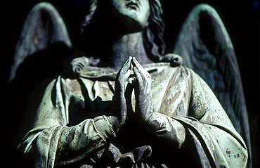 Cemetery with statue of an angel