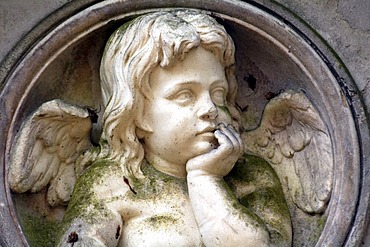 Cemetery with statue of an angel