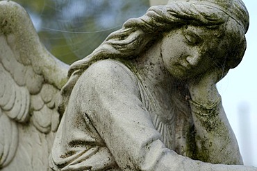 Cemetery with statue of an angel