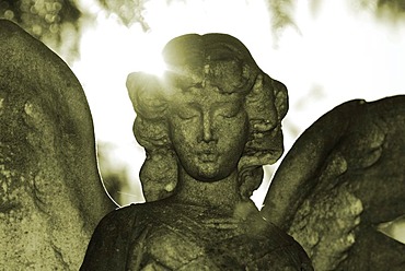 Cemetery with statue of an angel