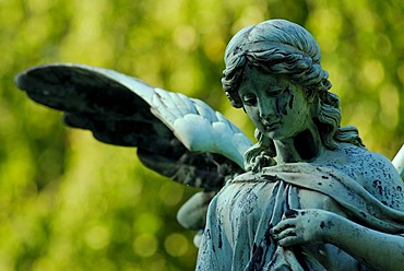 Cemetery with statue of an angel