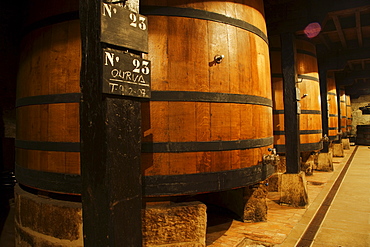 Wine barrels in a wine cellar, La Rioja, Spain