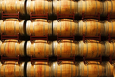 Wine barrels, La Rioja, Spain