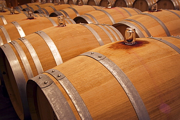 Wine barrels, La Rioja, Spain