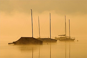 Morning fog over sailing boats on Lake Starnberger See near Seeshaupt, Bavaria, Germany, Europe