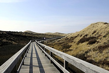 Wooden path at Wenningstedt, Sylt Island, North Frisian Islands, Schleswig-Holstein, Germany, Europe