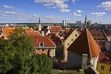 View of Tallinn, Estonia, Baltic States, Northern Europe