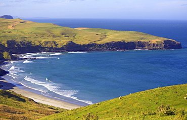 Otago Peninsula, South Island, New Zealand