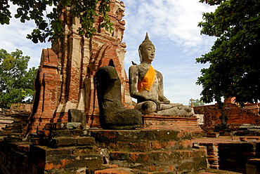 Buddha statue, Wat Mahathat Ayutthaya Temple, Siam, Thailand, Asia