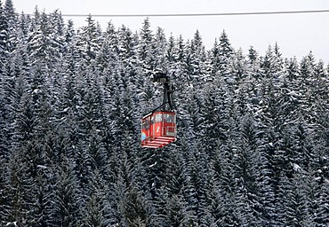 Teleferic in the skiing region Fichtelberg in front of conferous forest in Oberwiesenthal, Erzgebirge, Erz Ore Mountains, Saxony, Germany