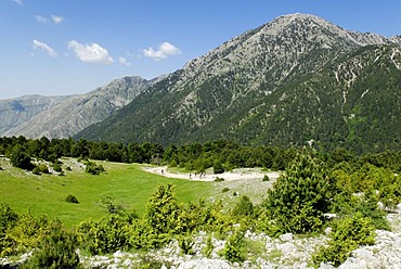 Landscape in Llogara, Llogara National Park, Albania, Europe