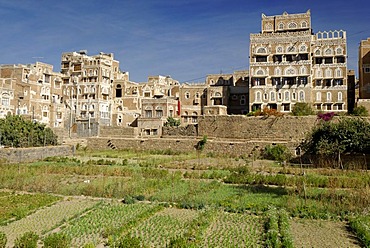 Gardens in front of ornamental houses in the historic city centre of Sanaa, SanaÂ¥a, UNESCO World Heritage Site, Wadi Hadramaut, Yemen, Arabia, Arab peninsula, the Middle East