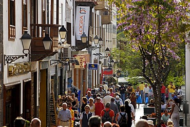 Pedestrian zone in old town, Puerto de la Cruz, Tenerife, Canary Islands, Spain