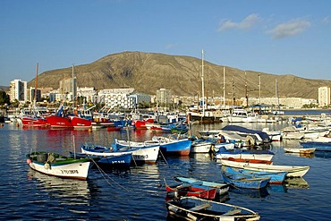 Fishing boats in harbour, Los Cristianos, Tenerife, Canary Islands, Spain