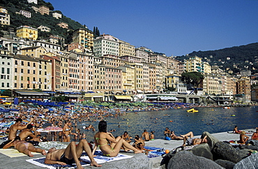 Houses in the old part of town, beach, Camogli, Liguria, Riviera, Italy