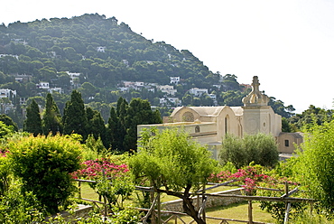 Certosa di San Giacomo, Isle of Capri, Campania, Southern Italy, Italy, Europe