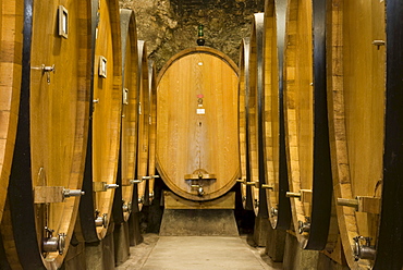 Wine barrels in a wine cellar, Castellina in Chianti Fattoria, Chianti Region, Tuscany, Italy