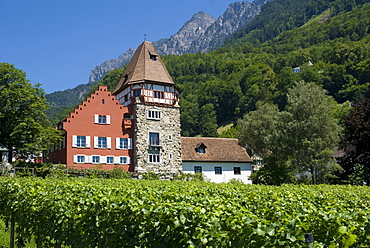 Red House, Vaduz, Liechtenstein