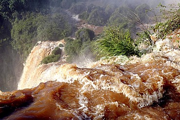 The Iguazu Falls at the border between Argentine and Brazil: Close up view of a cascade