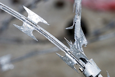 Barbed wire protecting evacuated plots, Dey Krahom Slum area, Phnom Phen, Cambodia