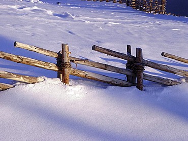 Snow covered fence