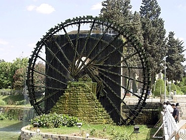 Water wheels in hama