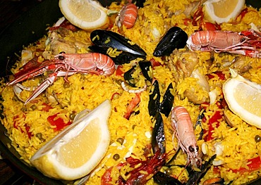 Spanish traditional food a pan of Paella with rice and seafood shrimps, mussels, spiny lobster and lemon