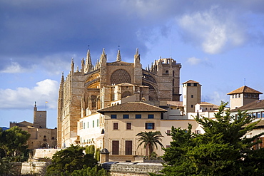 Palma de Mallorca, Kathedral, historic buildings, Almudaina Palace. Majorca, Balearic Islands, Spain, Europe