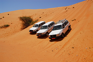 Cars on dune, Wahiba desert, Oman