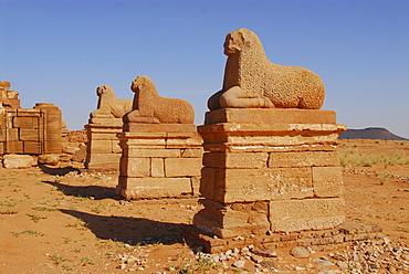 Temple for the god Amun, Naga, Sudan, Africa