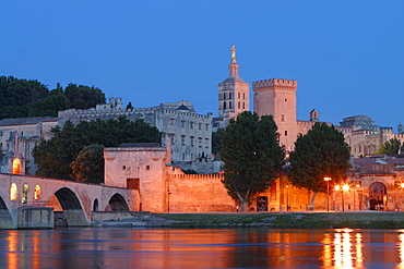 Papal Palace at Rhone River in Avignon, Provence, France