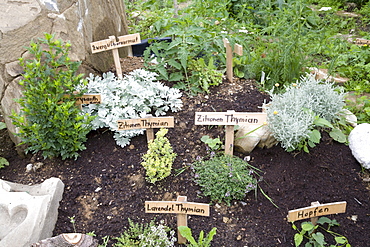 Garden with herbs