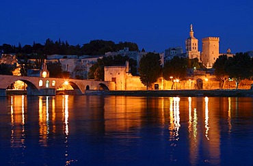 Papal Palace at Rhone River in Avignon, Provence, France