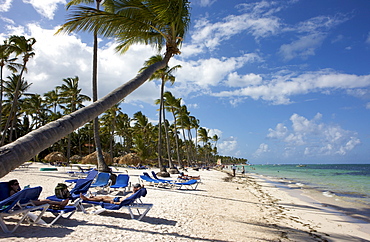 Tourists at a palm-lined beach, Punta Cana, Dominican Republic, Caribbean