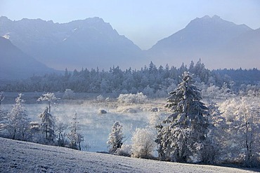 Morning with hoar frost, Sieben Quellen springs in front of Zugspitze mountain, Bavaria, Germany, Europe