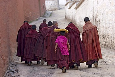 Asia, china, a group of monks on the way in monastery labrang.