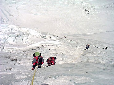 Climbers on fixed ropes in the steep, icy Lhotse Face, 6900m, on the way to Camp III, 3, Mount Everest, Himalaya, Nepal